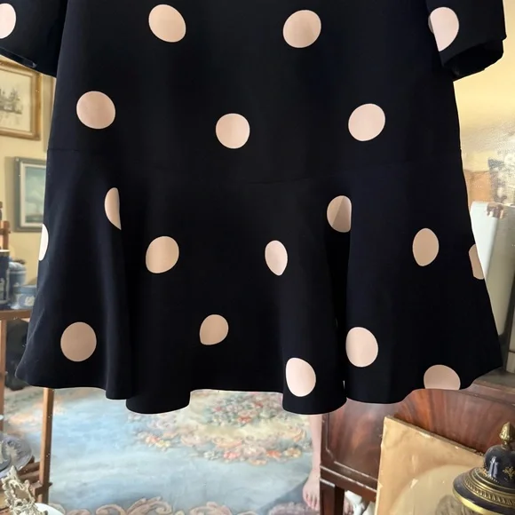 Kate Spade Navy & Light Pink Polka Dot Mini Dress with Boat Neck - Picture 6 of 11